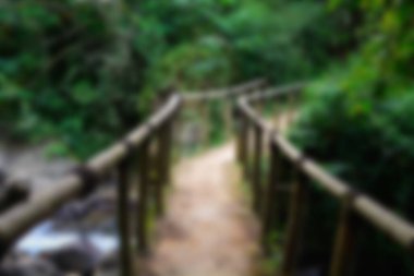 Görüntü Park Bahçesi Ağacı arka planda, Bulanık Yeşil yaz arka planda