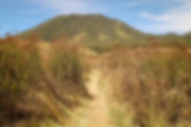 Yazın çayırın bulanık manzarası, kuru çimen manzarası. Bulanık arkaplan