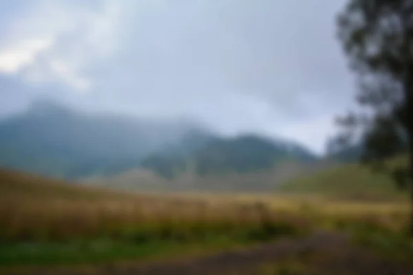 Yazın Çayırın Bulanık Manzarası Kuru Çimen Manzarası Bulanık Arkaplan — Stok fotoğraf