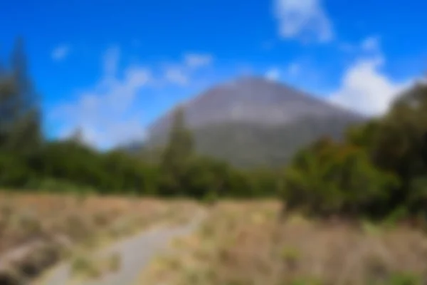 夏天草甸的景色朦胧 有干草的景色 模糊的背景 — 图库照片