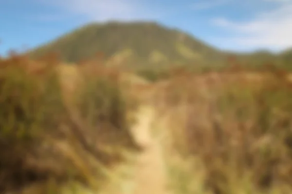 Yazın Çayırın Bulanık Manzarası Kuru Çimen Manzarası Bulanık Arkaplan — Stok fotoğraf