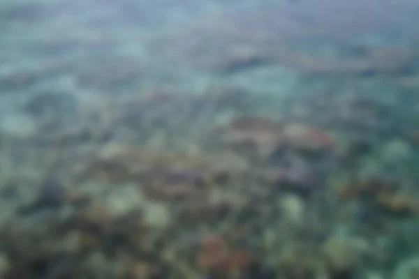 Размытый Вид Подводного Тропического Кораллового Рифа Поверхностью Воды Размытый Фон — стоковое фото