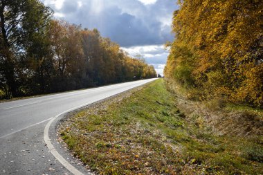 Sarı ağaçlar arasında sonbahar yolu