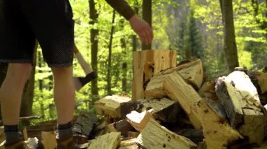 Bir adam yeşil ormanda odun kesiyor.