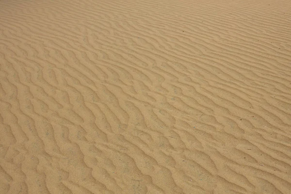 Великі Дюни Канарії Піщана Пустеля Маспаломас Високоякісне Фото — стокове фото
