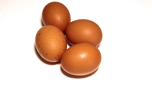 褐色的蛋在白色背景上被分离出来 高质量的照片 — 图库照片