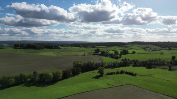 Luchtfoto Van Bos Landschap Belgische Ardennen Hoge Kwaliteit Fullhd Beeldmateriaal — Stockvideo