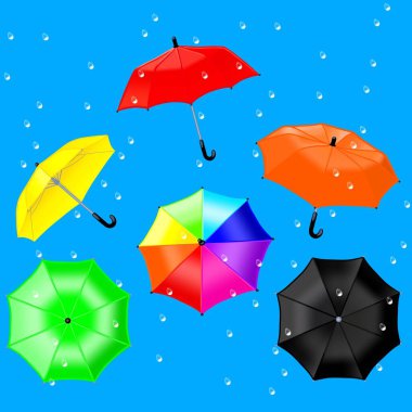 Yağmurun altında parlak şemsiyeler 