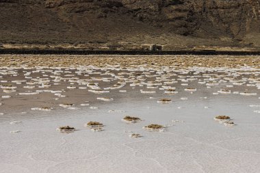 Lanzarote 'deki Salinas de Janubio' nun tuzlu sudan tuzlu suyun çıkarılmasına kadar olan süreçte bir bakış açısı.