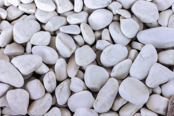 White pebbles background, simplicity, daylight, stones. White decorative pebble close-up. Background.