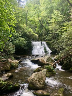 Carolinas civarında tatil yapıyorduk ve yürüyüş yaparken bu şelaleye rastladık..