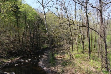 Philadelphia ve Banliyöler Washington kavşağı ve Yeni Umut Bomans Tepesi Kulesi ve çiçek rezervi