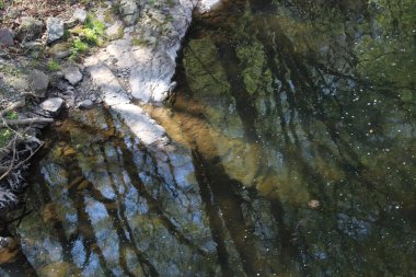 Philadelphia ve Banliyöler Washington kavşağı ve Yeni Umut Bomans Tepesi Kulesi ve çiçek rezervi