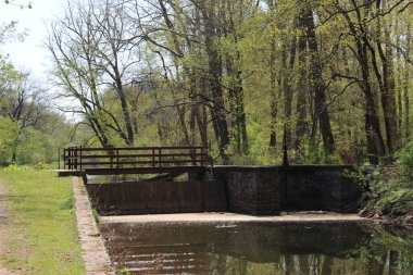 Philadelphia ve Banliyöler Washington kavşağı ve Yeni Umut Bomans Tepesi Kulesi ve çiçek rezervi