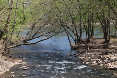 Philadelphia ve Banliyöler Washington kavşağı ve Yeni Umut Bomans Tepesi Kulesi ve çiçek rezervi