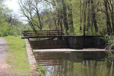 Philadelphia ve Banliyöler Washington kavşağı ve Yeni Umut Bomans Tepesi Kulesi ve çiçek rezervi