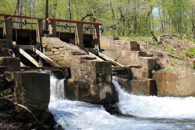 Philadelphia ve Banliyöler Washington kavşağı ve Yeni Umut Bomans Tepesi Kulesi ve çiçek rezervi