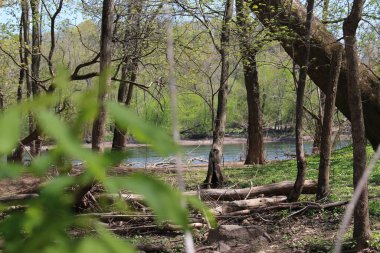 Philadelphia ve Banliyöler Washington kavşağı ve Yeni Umut Bomans Tepesi Kulesi ve çiçek rezervi