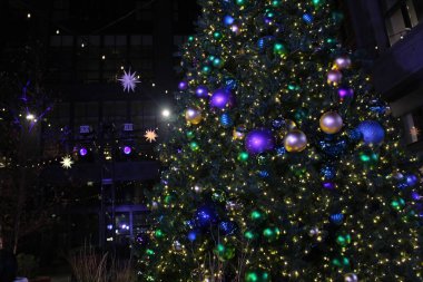 Philadelphia ve Banliyöler Washington kavşağı ve Yeni Umut Bomans Tepesi Kulesi ve çiçek rezervi