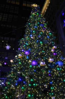 Philadelphia ve Banliyöler Washington kavşağı ve Yeni Umut Bomans Tepesi Kulesi ve çiçek rezervi