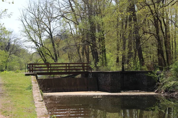 Philadelphia ve Banliyöler Washington kavşağı ve Yeni Umut Bomans Tepesi Kulesi ve çiçek rezervi