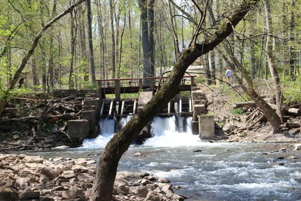 Philadelphia Voorsteden Washingtons Kruising Nieuwe Hoop Bomans Heuvel Toren Bloemenreservaat — Stockfoto