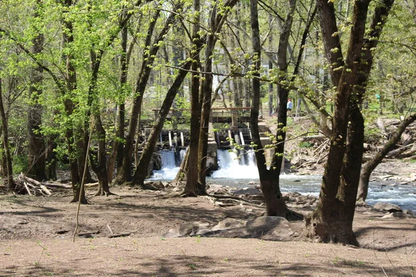 Філадельфія Передмістя Перетинали Вашінгтони Нові Надії Бомбардували Пагорбисту Вежу Заповідник — стокове фото