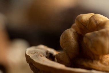 Çikolata, para, para, otoo!