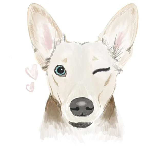 Illustration Loving Cute Dog Big Ears Blue Eyes Winks Begs — Stock Photo, Image