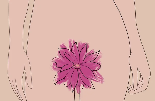 Horizontal Illustration Pink Flower Inguinal Zone Woman Symbolizing Female Vagina —  Fotos de Stock
