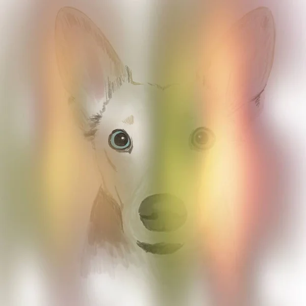 kare çizimi. Beyaz bir arka planda parlak sihirli bir parıltıyla çok renkli gözleri olan sevimli bir köpeğin portresi.