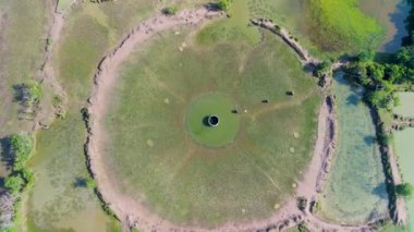Doğal bir çember şeklinde eşsiz balık göleti ekiminin havadan görünüşü, doğal bir fenomen gibi. Drone Videoları 4K