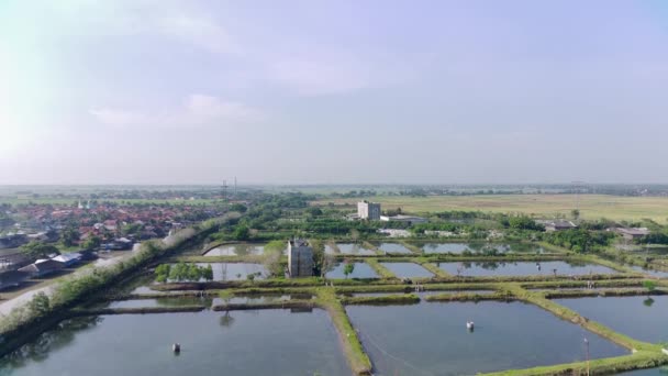 Luftaufnahme Von Fischteichen Fluss Rande Des Dorfes Der Morgensonne Drohnenvideo — Stockvideo