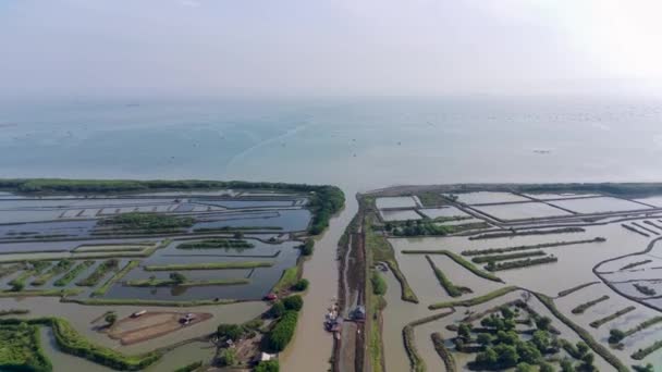 Αεροφωτογραφία Της Καλλιέργειας Της Λίμνης Των Ψαριών Μακρύ Ποτάμι Σύνορα — Αρχείο Βίντεο