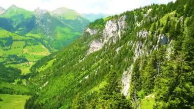 hava manzaralı dağlar ve yeşillik