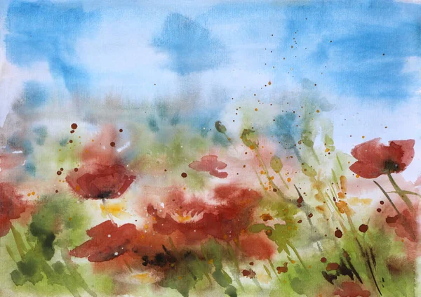 Yaban çiçekleri ve kırmızı gelinciklerle dolu yaz tarlası