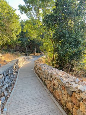 Taş kenarlı ahşap yol
