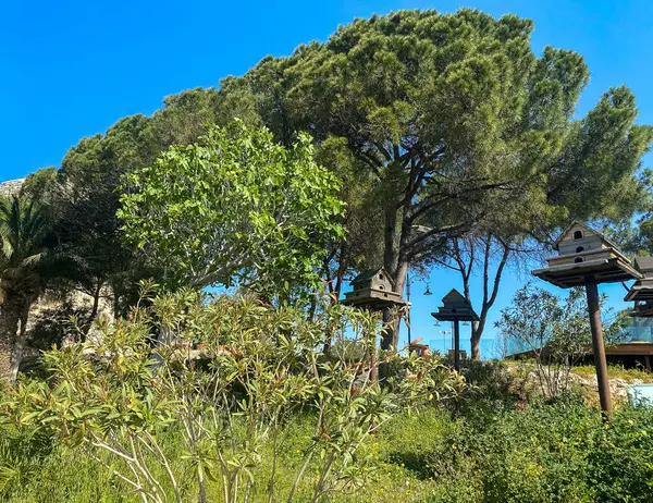 Nagy Madáretetők Kusadasi Szigetén — Stock Fotó