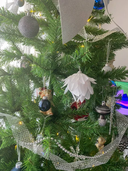 Belles Décorations Pour Sapin Noël — Photo