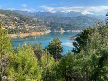 Alanya 'daki çam ağaçlarının arasında dağ gölü