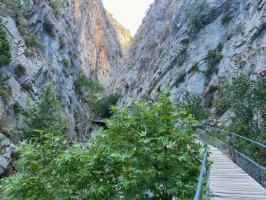 Sapadere Kanyonu 'ndaki ahşap yol.