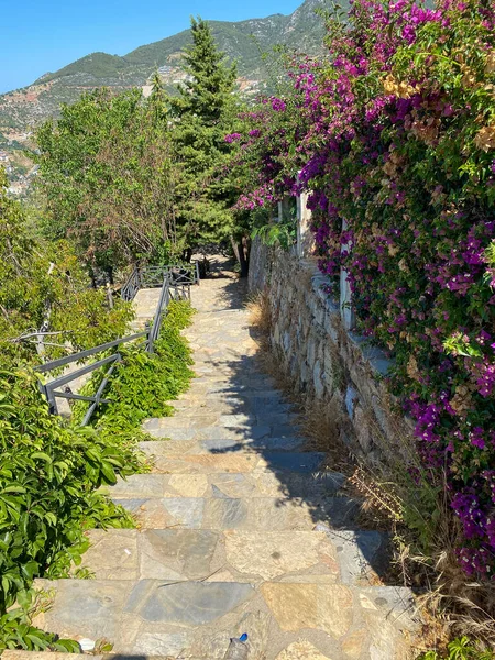 Hermosas Escaleras Por Montaña —  Fotos de Stock