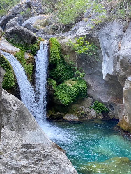 Uma Pequena Cachoeira Coberta Musgo — Fotografia de Stock