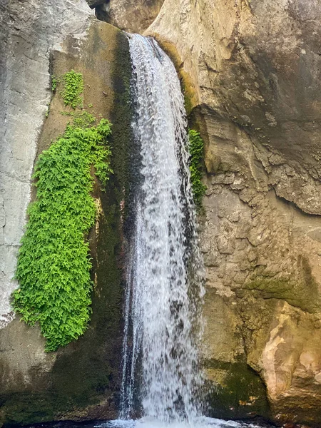 Une Petite Cascade Une Roche Envahie Mousse — Photo