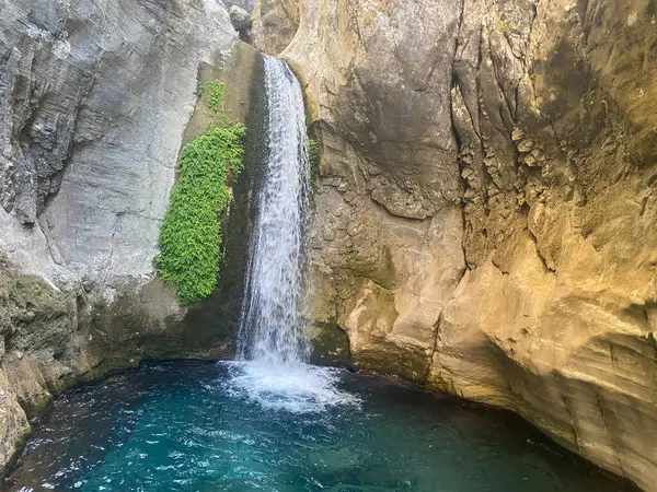 Uma Pequena Cachoeira Uma Rocha Coberta Musgo — Fotografia de Stock