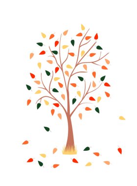 Tasarımınız için yapraklı sonbahar ağacı