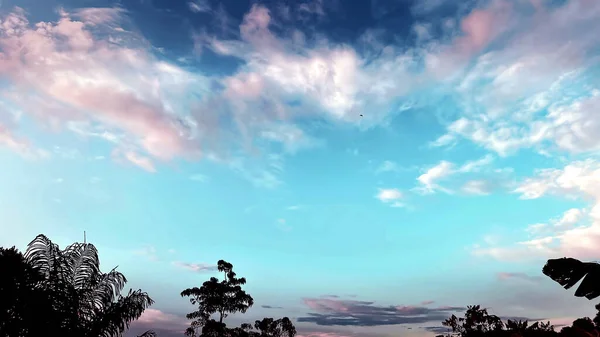 Mavi gökyüzü ile güzel bir gün batımı