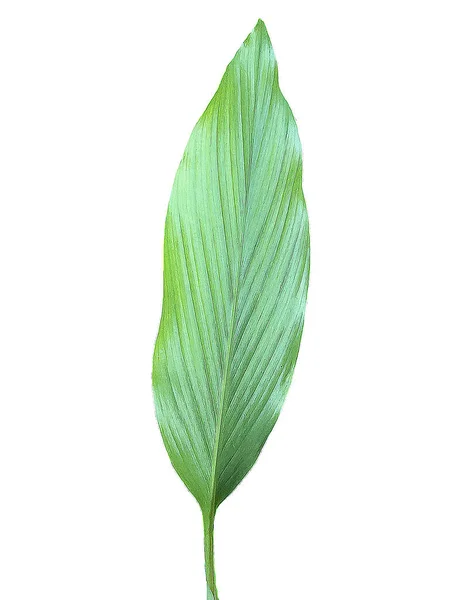 Bahçedeki çiçekler çok güzel.