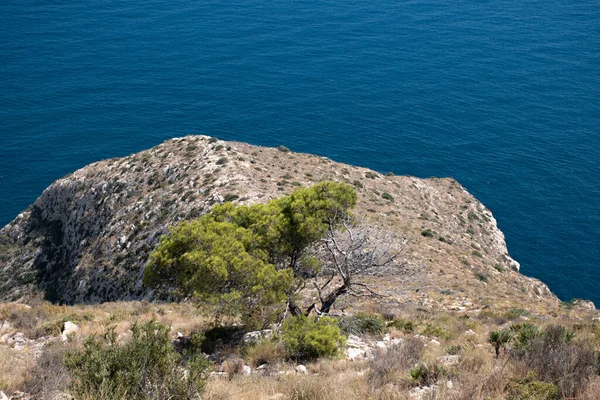 Costa Rocciosa Con Mare Blu Alberi Verdi Calpe Spagna Paesaggio — Foto Stock