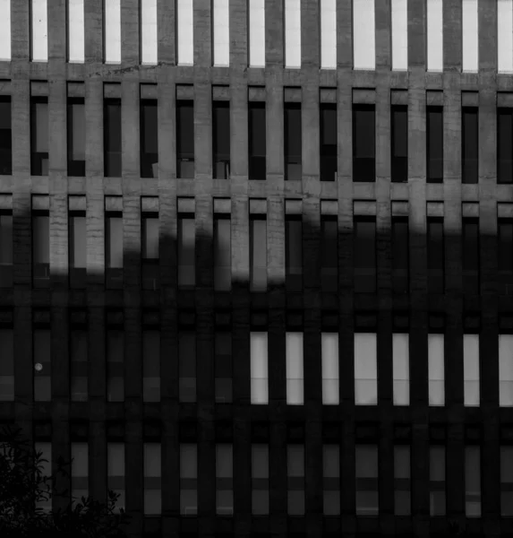 Rectangular windows of modern building in the city of justice under a sunset light and shadow of another building in black and white.